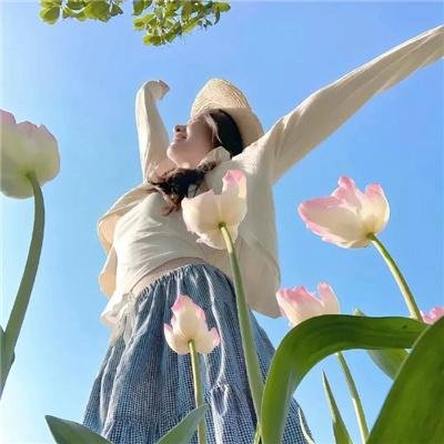 关于帕姆的那些事